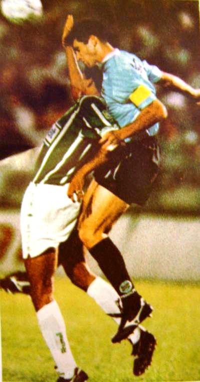 palmeias cb luciano volta - Cópia