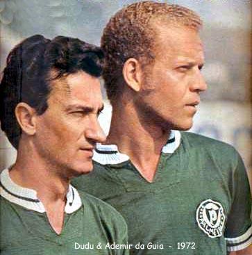 Resultado de imagem para palmeiras 1972