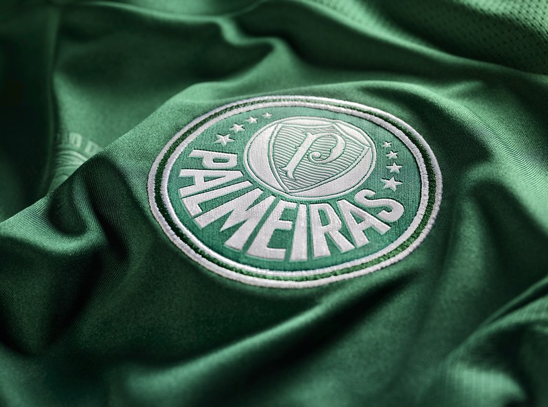 palmeiras 100 012014 04 3